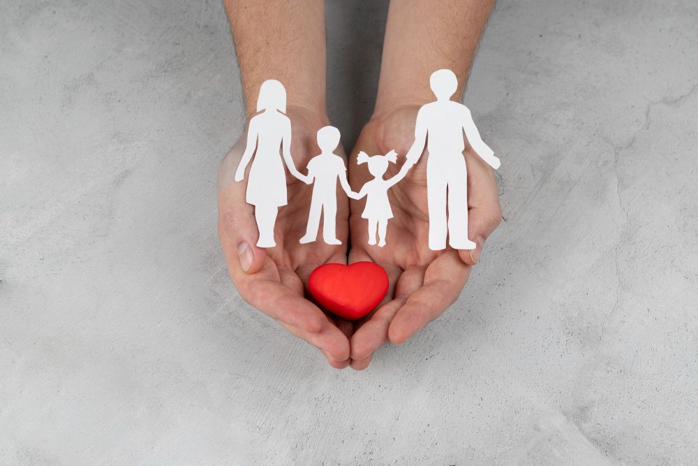 Protege tu Patrimonio Familiar con Seguros de Vida