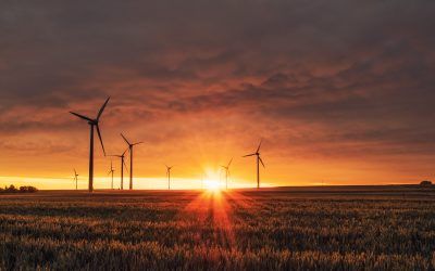 Inversiones ESG: Hacia un Futuro Sostenible y Rentable